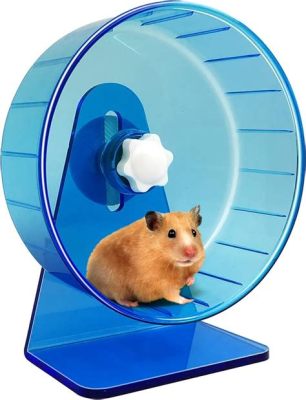 do hamsters like music while exercising on a wheel